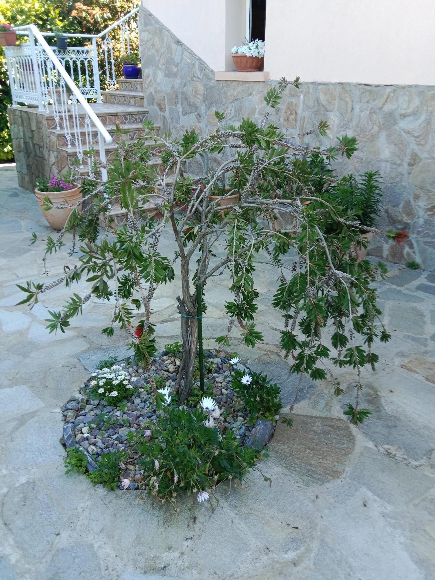 Les Espaces De Furiani Exterior foto